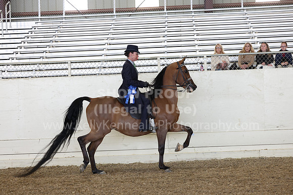 AHANC23_Thurs_1759