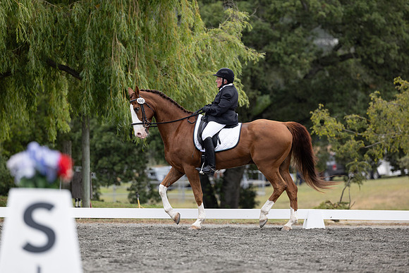 FFDressage23-1675