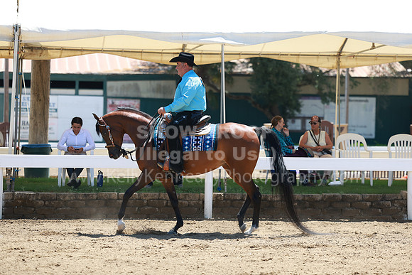 DAHA23_Fri_1301