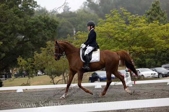 FFDressage23-0739
