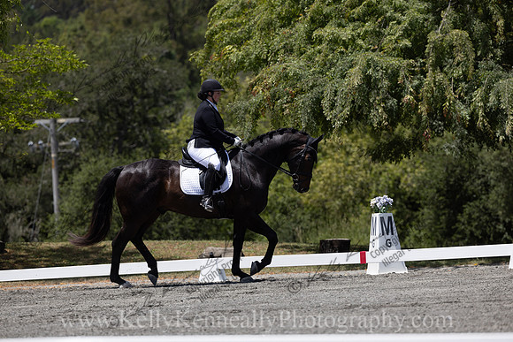 FFDressage23-3810