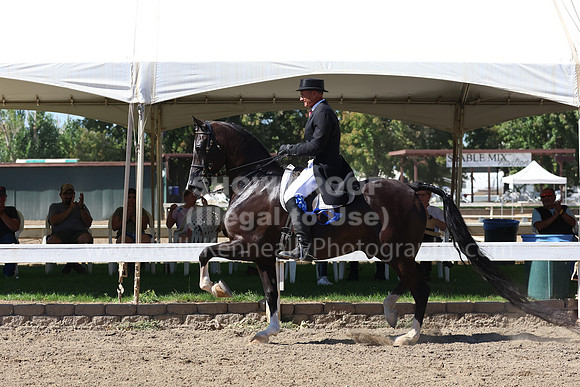 DAHA_FF22_1173