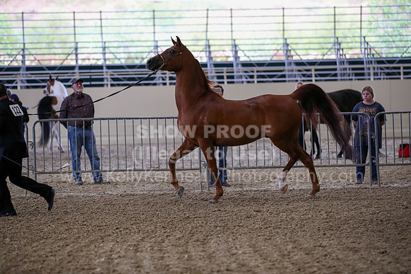 PacSlope22_Fri_2597