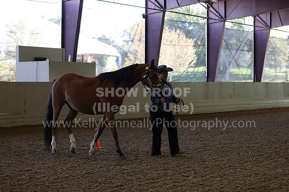 AHANC23_Wed_0031