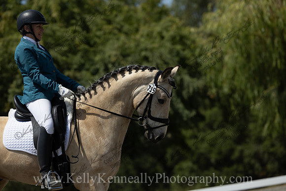 FFDressage23-00293