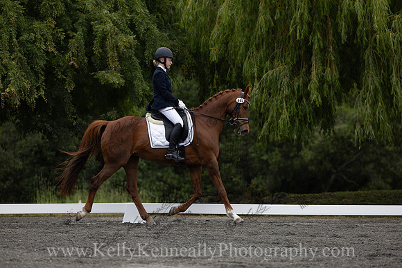 FFDressage23-0795