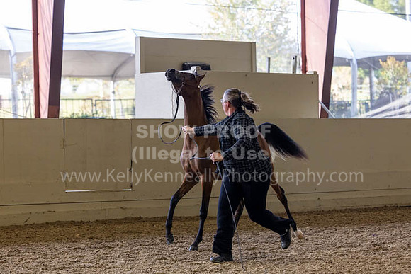 PacSlopeCh23_Fri_7230