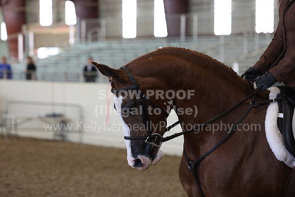 AHANC23_Thurs_1071