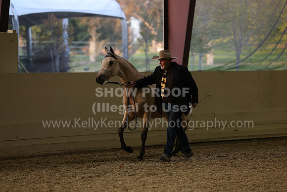 AHANC23_Wed_2914