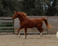 DocFall26_4336