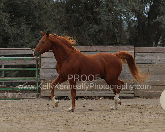 DocFall26_4336