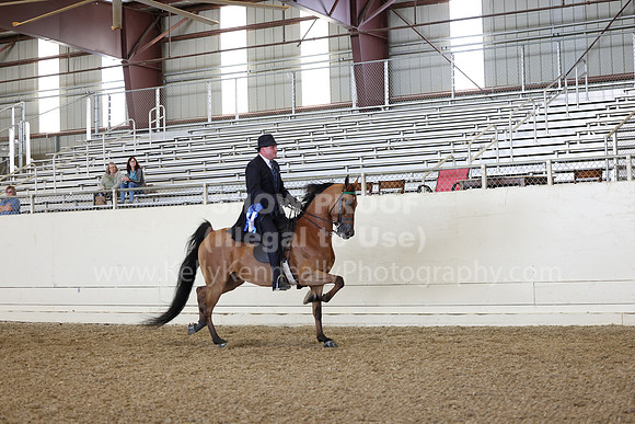 AHANC23_Wed_2113
