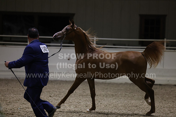 AHANC23_Wed_3190