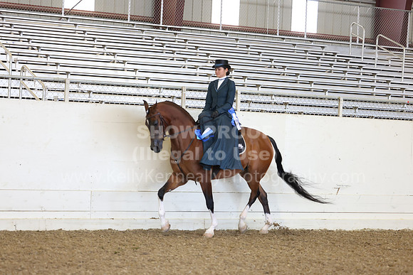 AHANC23_Thurs_0132