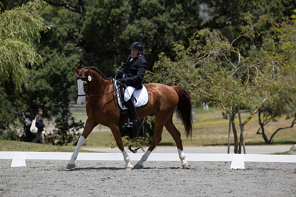 FFDressage23-3154