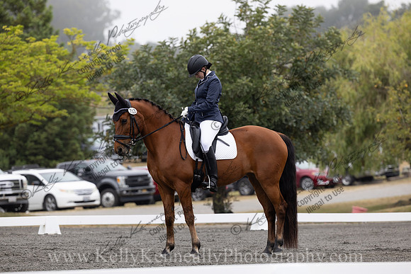 FFDressage23-00041