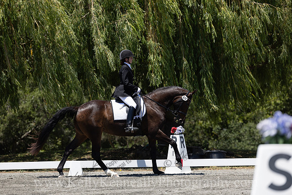 FFDressage23-00268