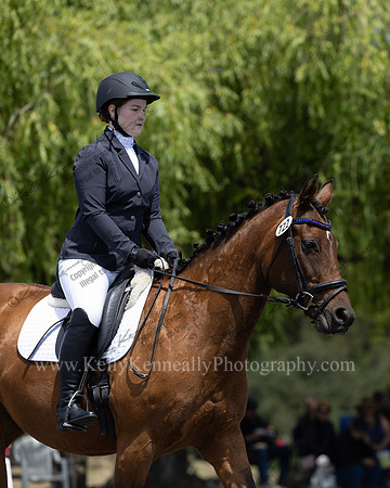 FFDressage23-00156