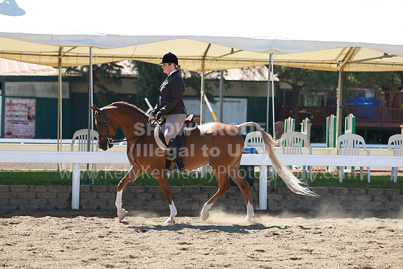 DAHA23_Fri_0701