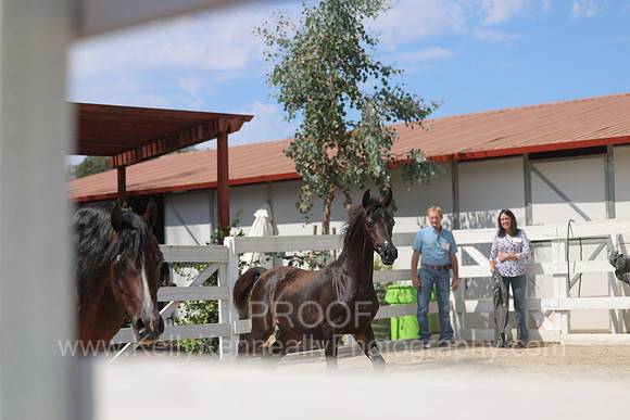 BeckerEvent26_2718