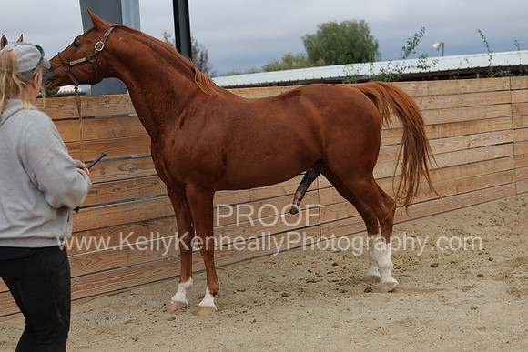 DocFall26_6202