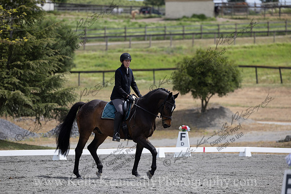 FFDressage23-2249
