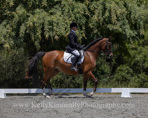 FFDressage23-00216