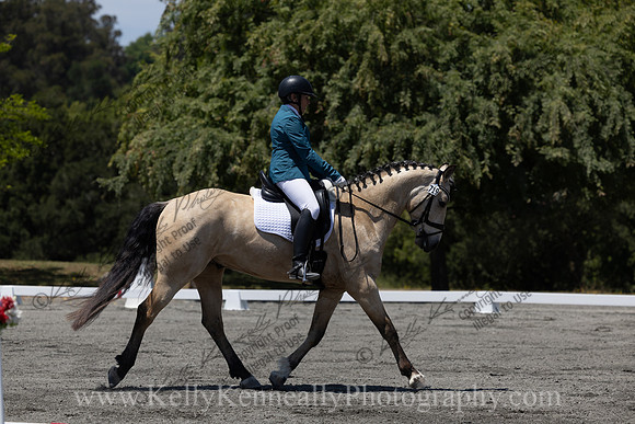 FFDressage23-00281
