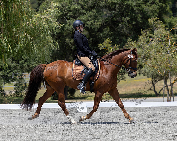FFDressage23-4926