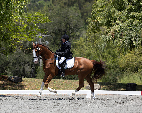 FFDressage23-00197
