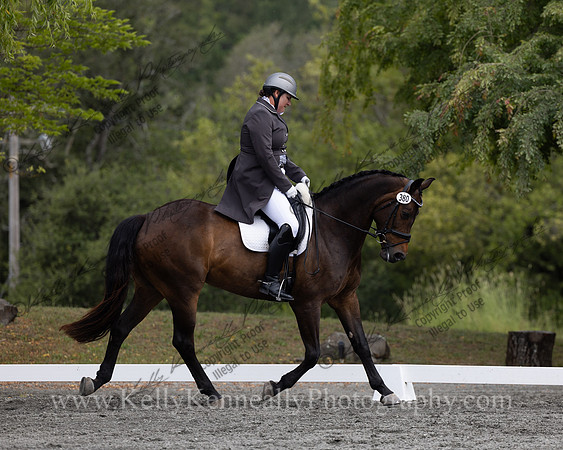 FFDressage23-00118