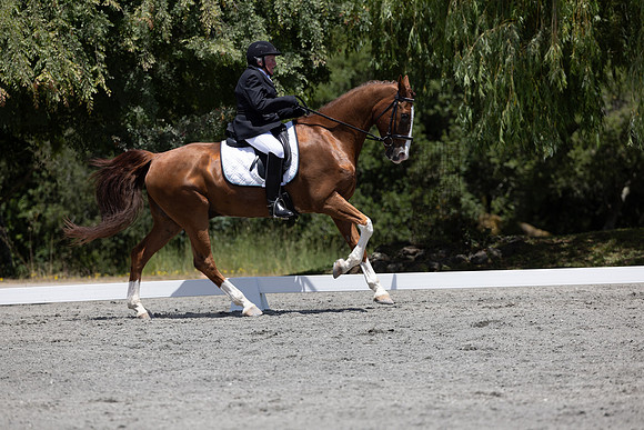 FFDressage23-3395