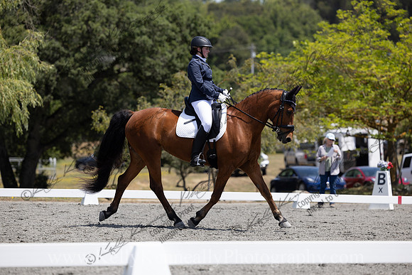 FFDressage23-00184
