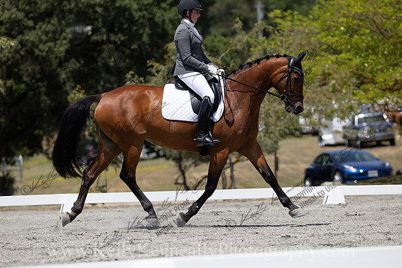 FFDressage23-4322