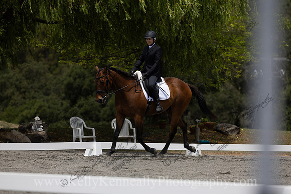 FFDressage23-2623