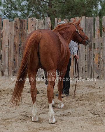 DocFall26_6069