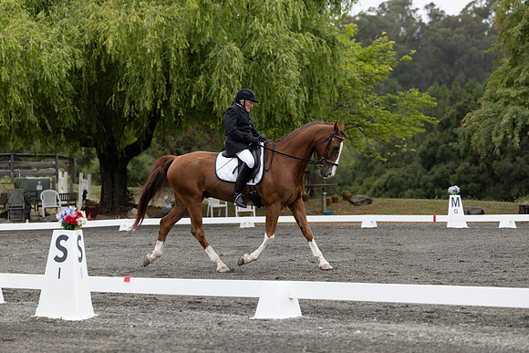 FFDressage23-00087