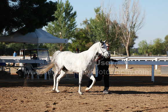 DAHA23_Fri_0088