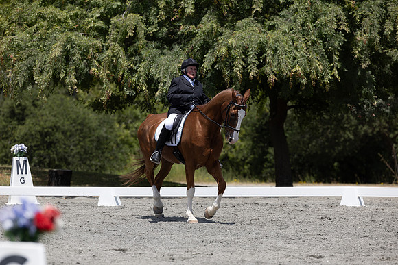 FFDressage23-3071
