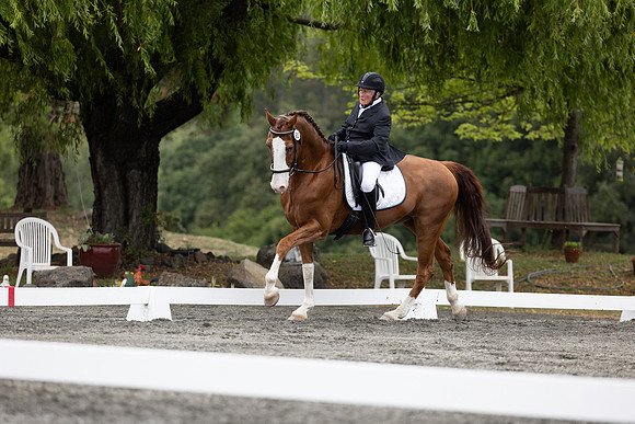 FFDressage23-1850