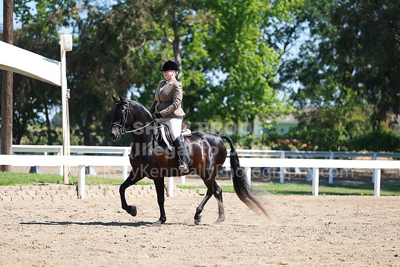 DAHA23_Fri_0614