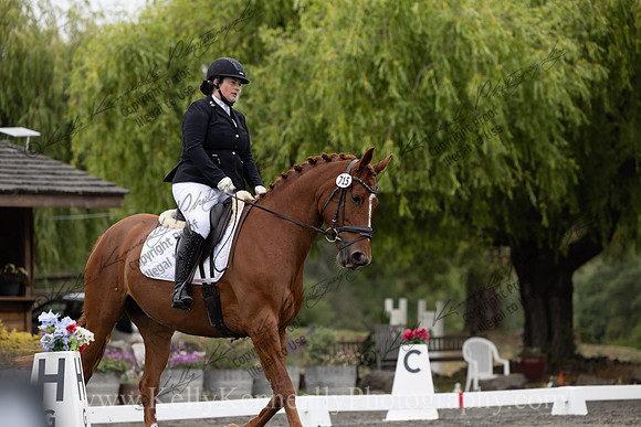 FFDressage23-1278