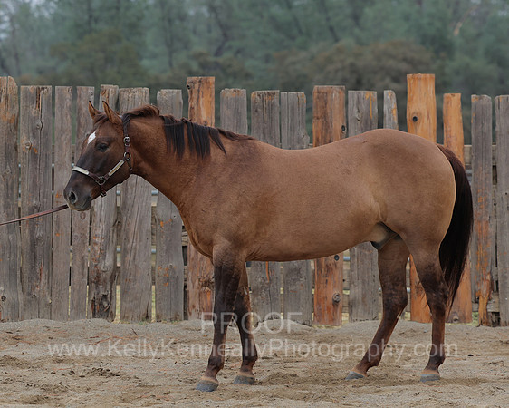 SamsonFall26_1597