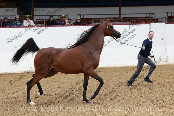 R2CH23_Thurs_0982