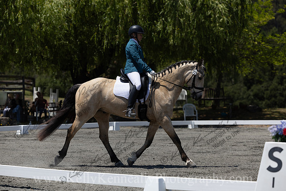 FFDressage23-00280