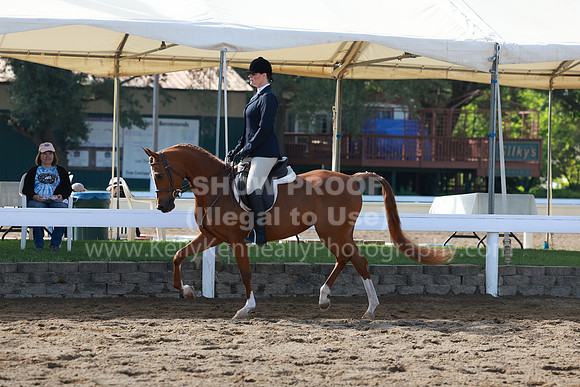 DAHA23_Sun_8152