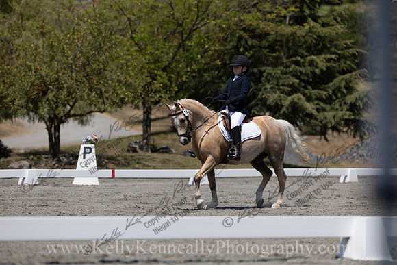 FFDressage23-00283