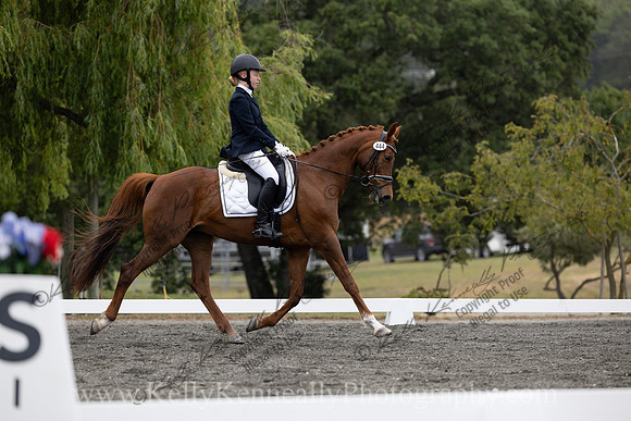 FFDressage23-0921