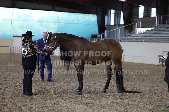 AHANC23_Wed_2819