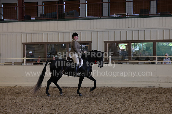 AHANC23_Thurs_2584